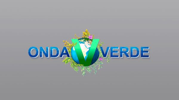 Onda Verde | T: 2023 | 22.07