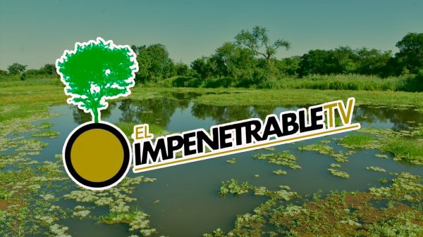 Impenetrable TV | T: 2024 | 23.03